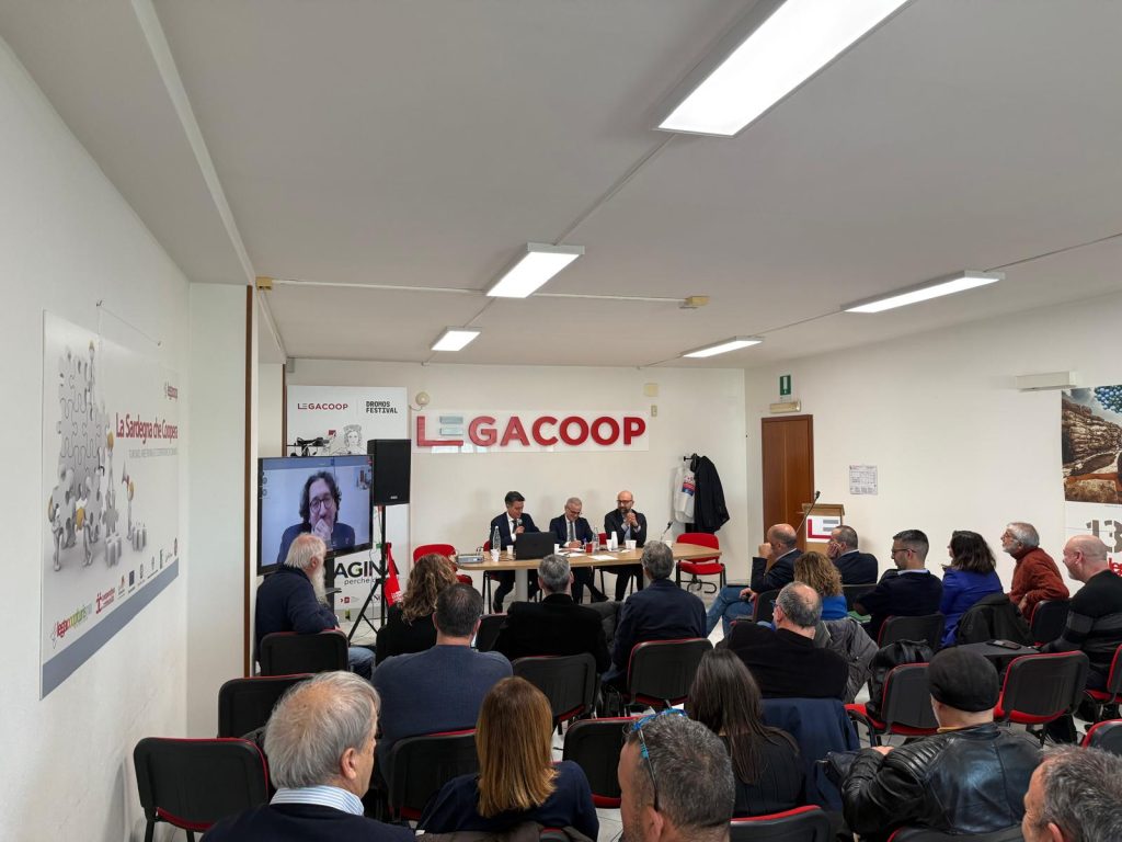 WhatsApp Image 2026-02-13 at 15.24.18