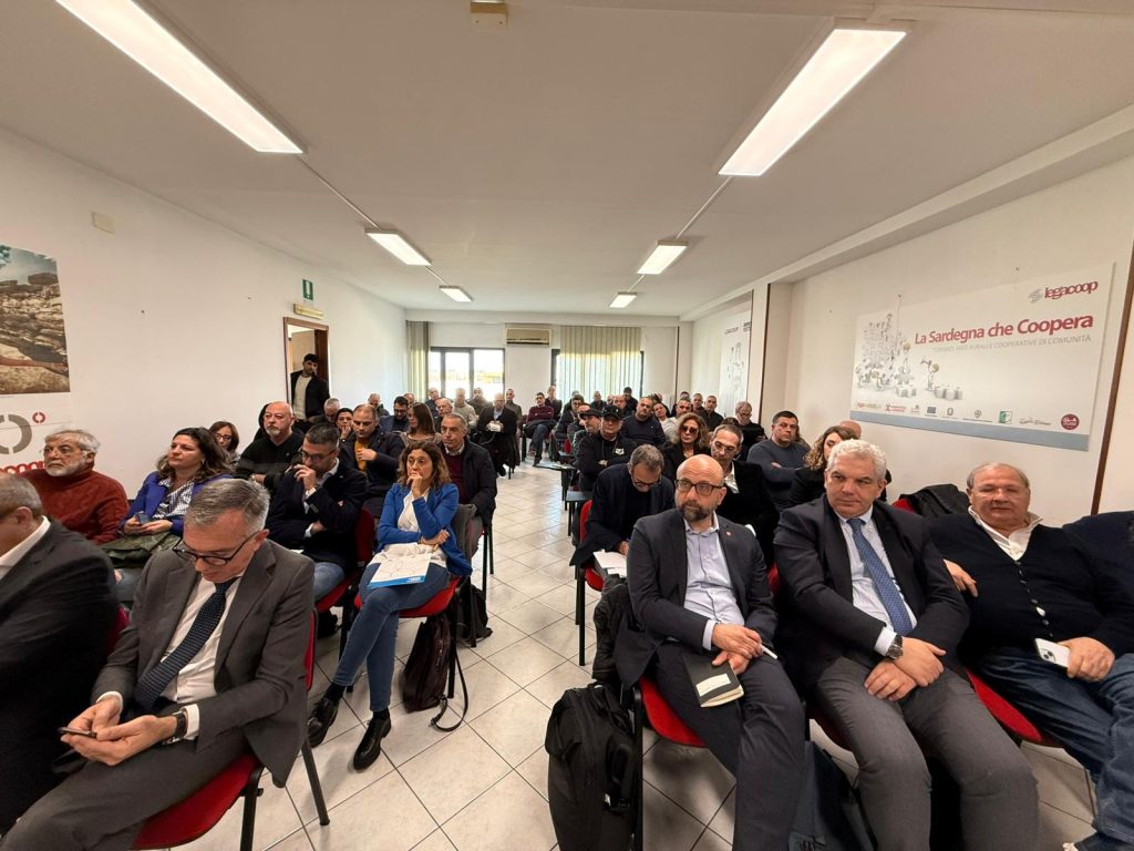 WhatsApp Image 2026-02-13 at 17.23.25 (2)