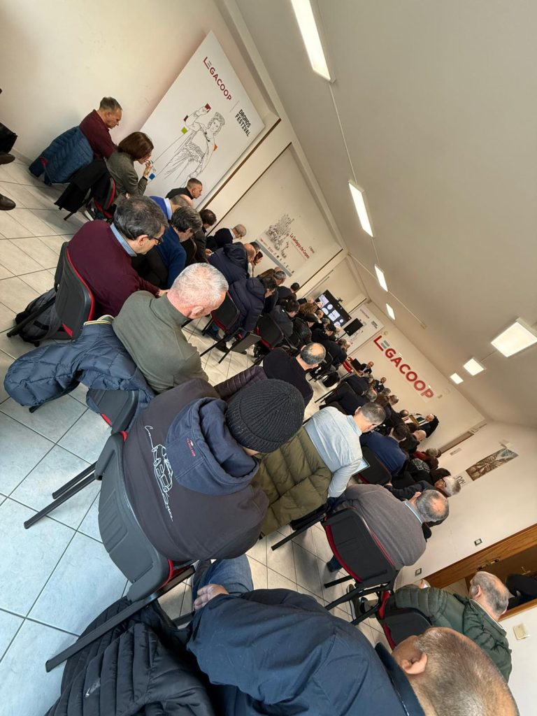 WhatsApp Image 2026-02-13 at 17.23.25 (3)