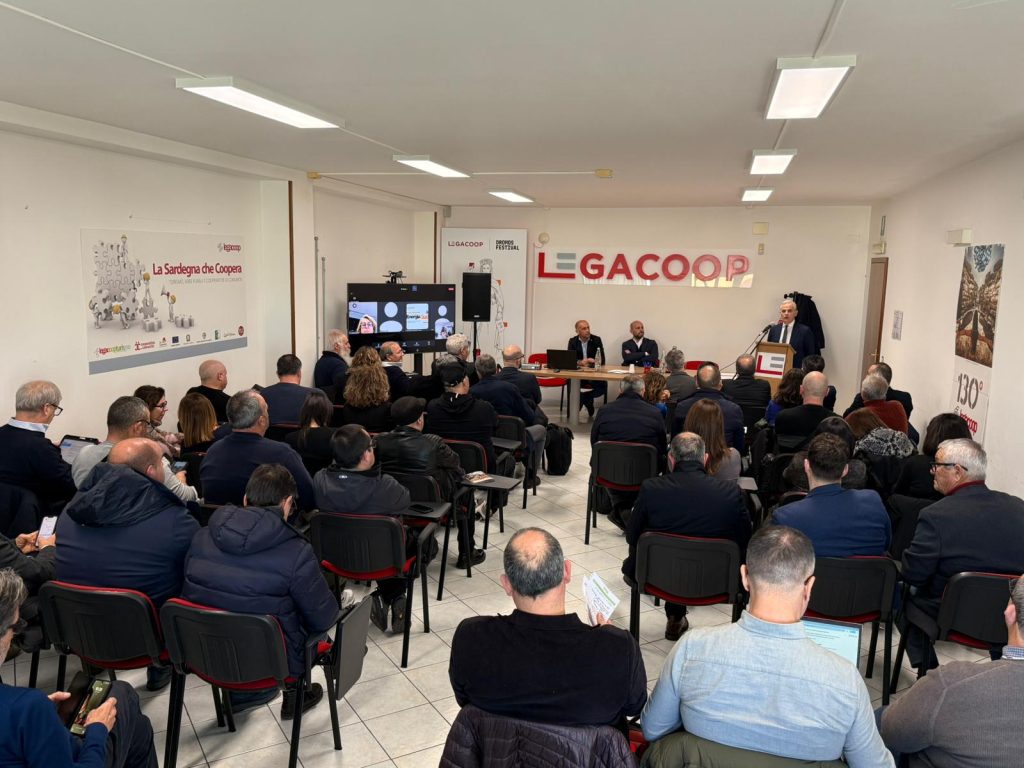 WhatsApp Image 2026-02-13 at 17.23.26 (1)